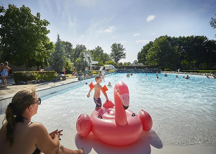 Villa In Limburg With Sauna & Bbq Roggel