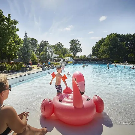 Vila In Limburg With Sauna & Bbq Roggel